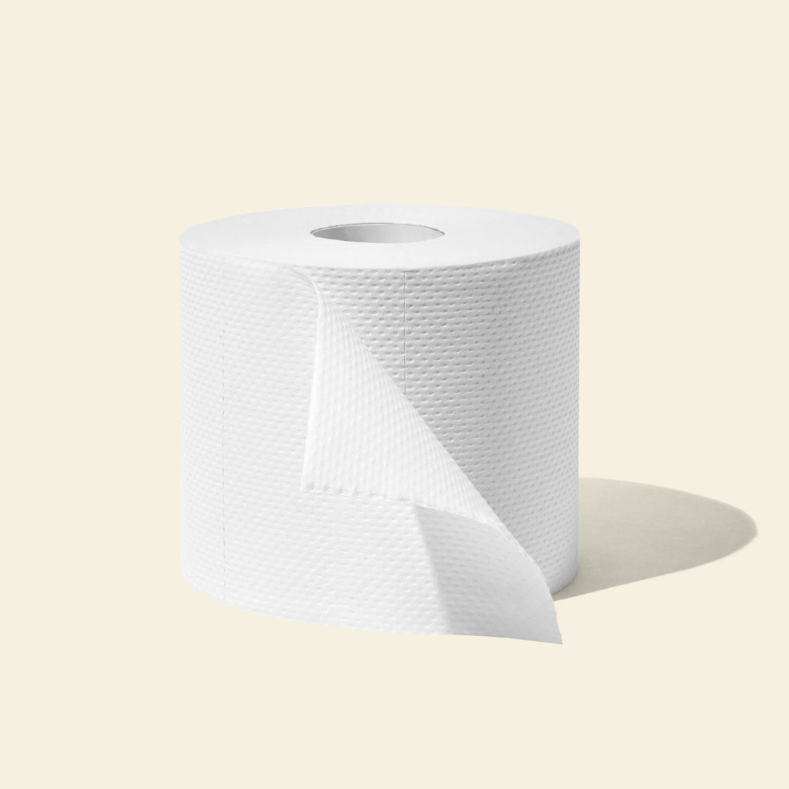 How to Make Recycled Toilet Paper