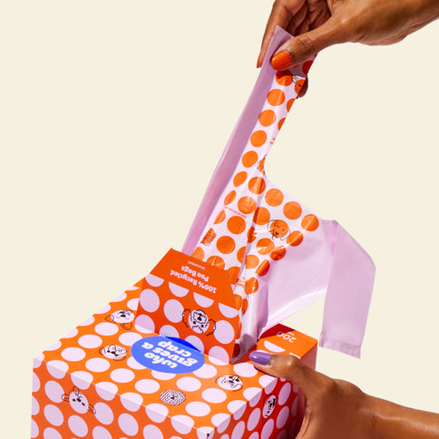 Hand pulling a dog poo bag from the box, showcasing easy dispensing and quick access.