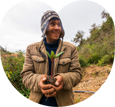 Person standing around bushes holding a rooted plant with both hands.