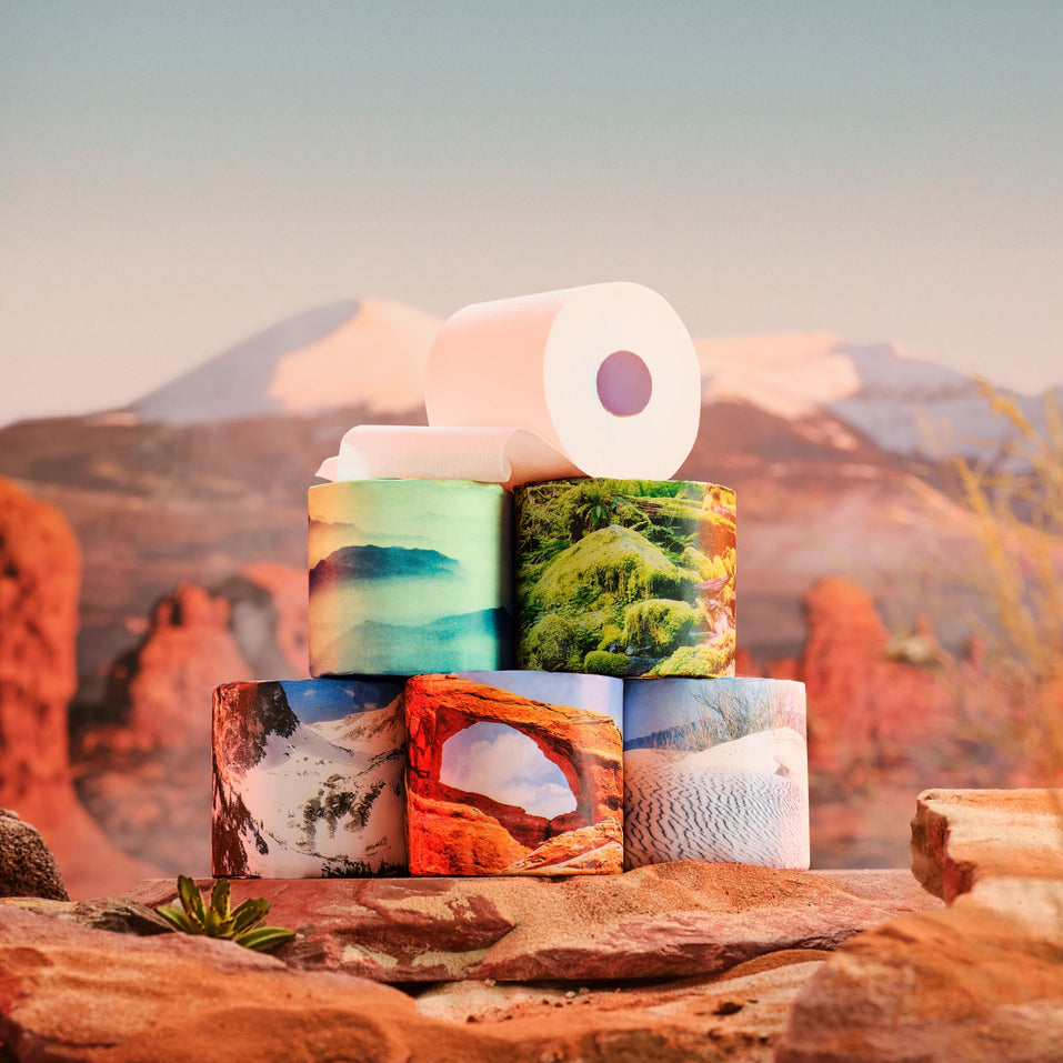 A pyramid stack of park-design toilet rolls topped by one white roll, set on red-rock formations with mountains in the desert at dusk.