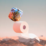 A Joshua-tree-design roll and a white roll tumbling in mid-air above a soft mountain landscape at sunrise.