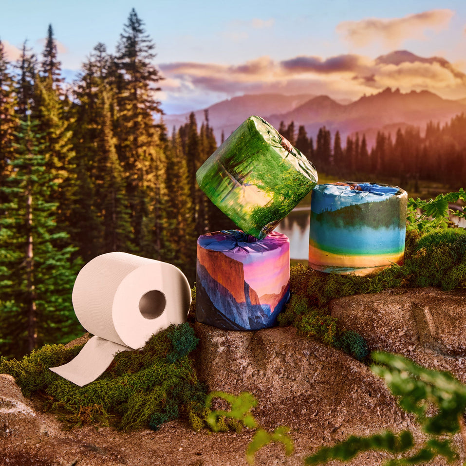 Three park-design rolls and one white roll arranged on mossy rocks in a green forest beside a lake with mountains at sunset.