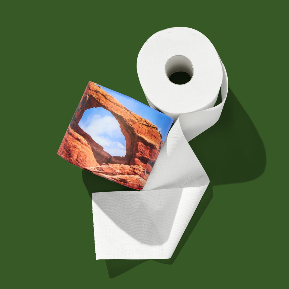Top-down view of a partially unrolled white roll next to a red-rock-arch-design roll on a forest-green background.